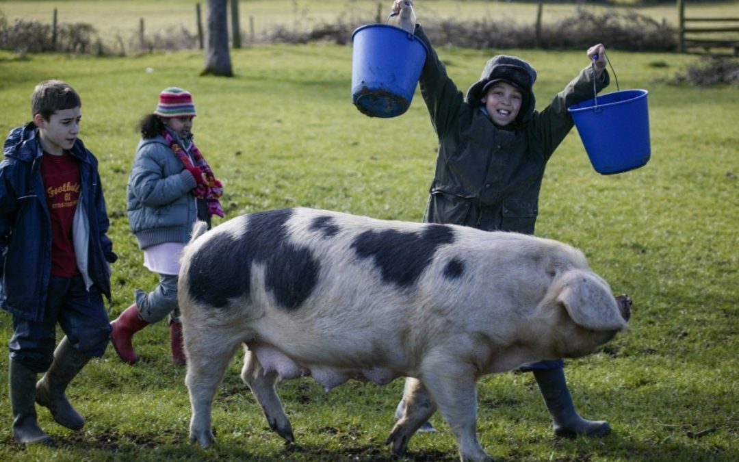 Countryside Access Grants