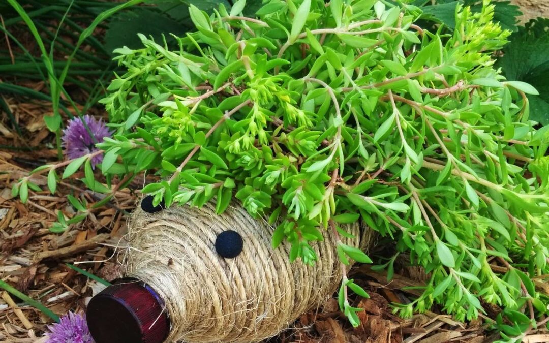 Garden Planters